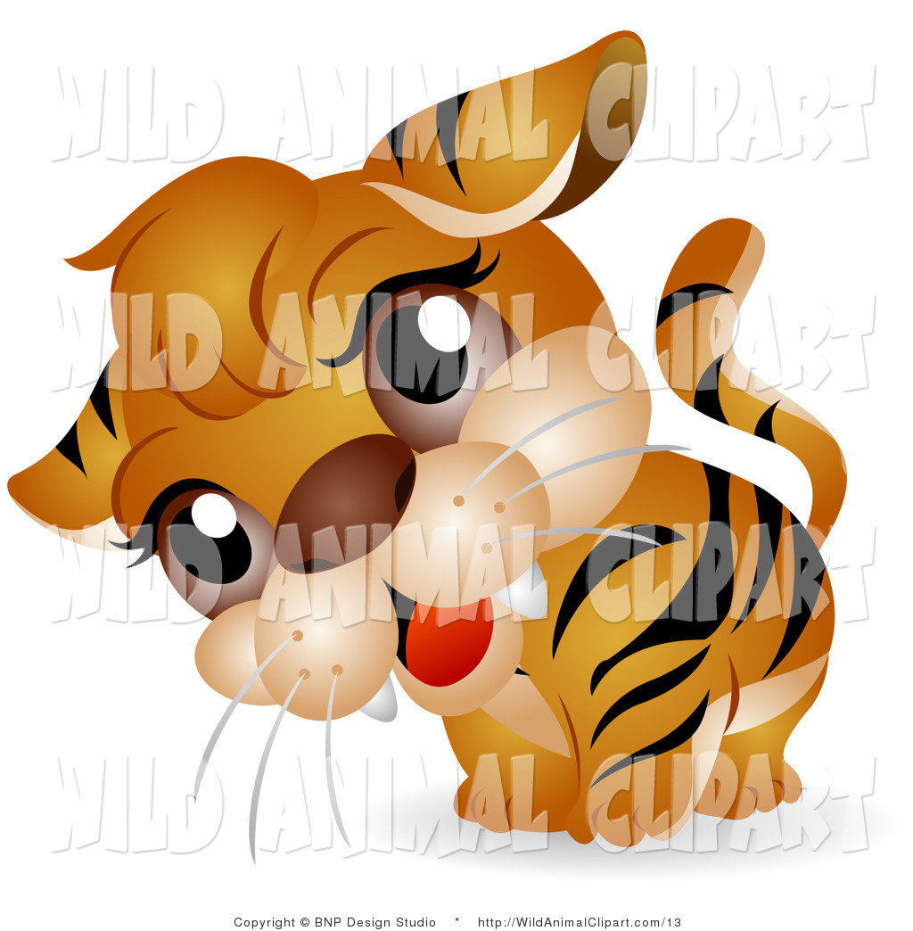 Clip Art of a Tiger Cub with a Cocked Head by BNP Design.