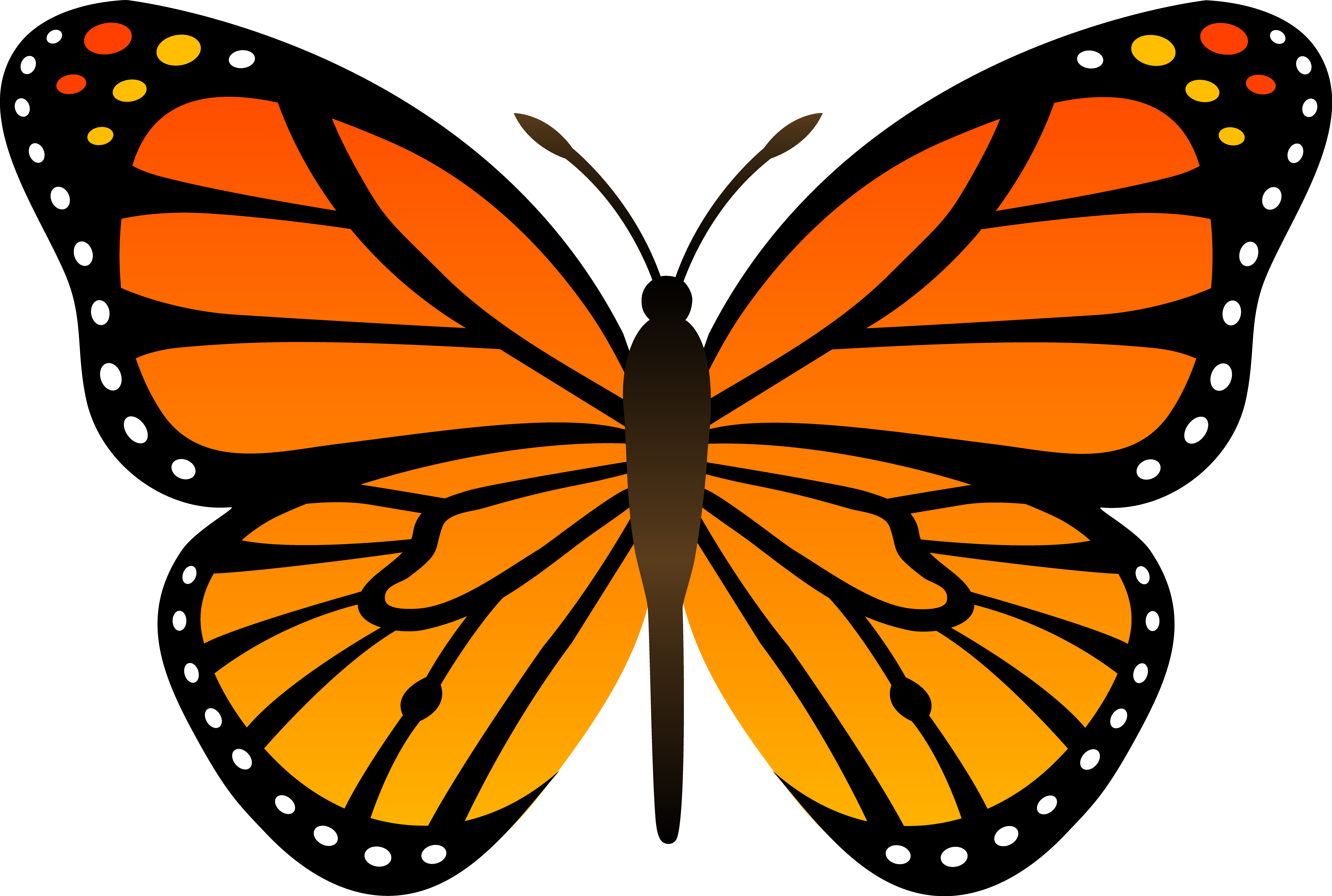 Free Cartoon Butterfly Cliparts, Download Free Clip Art.