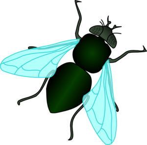 Fly Clip Art.