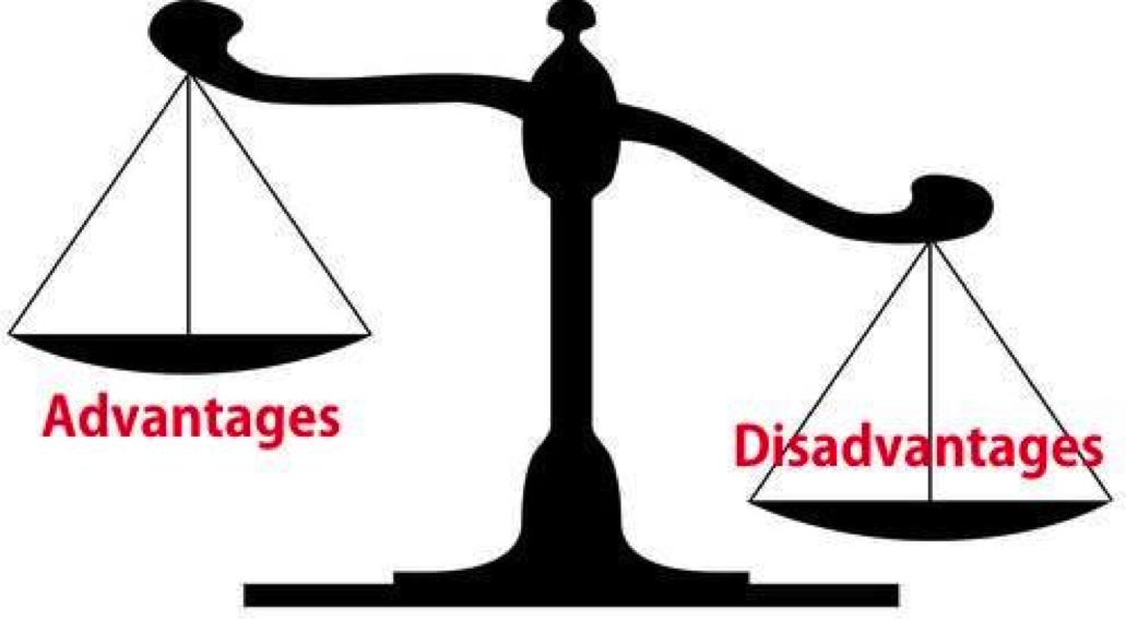 Advantages and disadvantages of higher education.