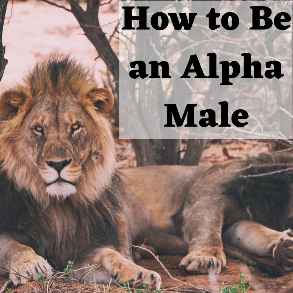 How to Be an Alpha Male: Typical Characteristics, Personality.