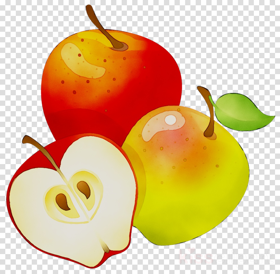 Apple Tree clipart.