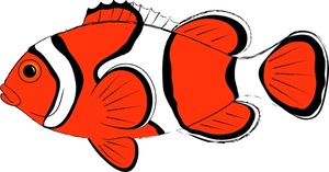 Clownfish Clipart.