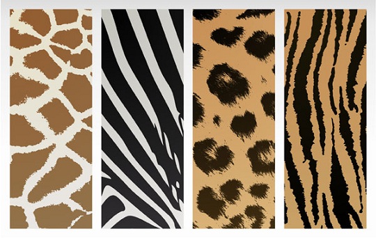 Animal Skin Clipart.