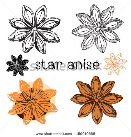 Anise free vector download (6 Free vector) for commercial use.