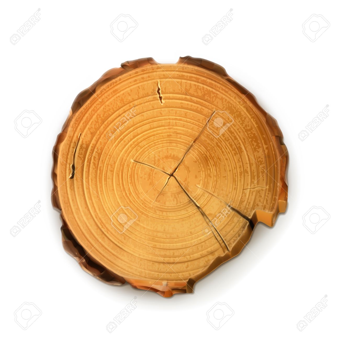 Tree Stump, Round Cut With Annual Rings Vector Royalty Free.