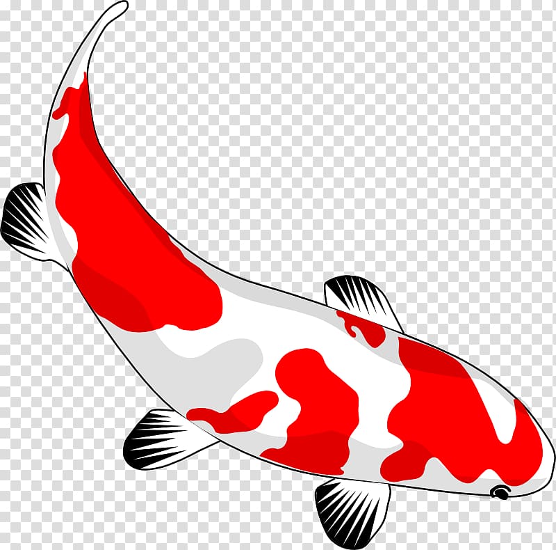 Koi Goldfish Drawing , Asian Culture transparent background.