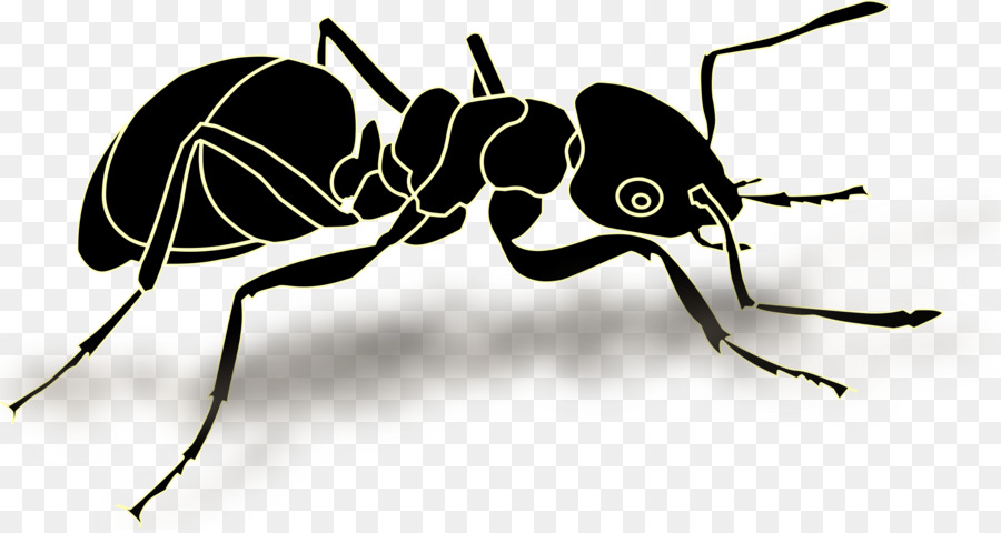 Ant Cartoon clipart.