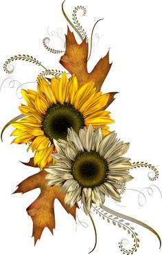 Free clipart autumn flowers.