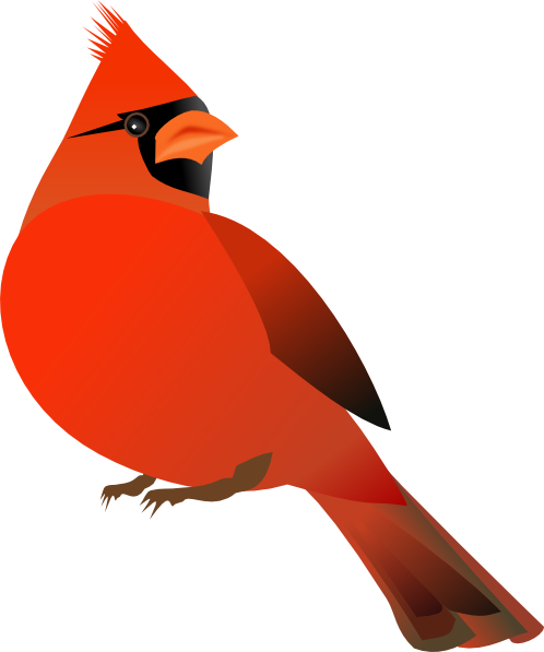 Cute baby cardinal clipart.