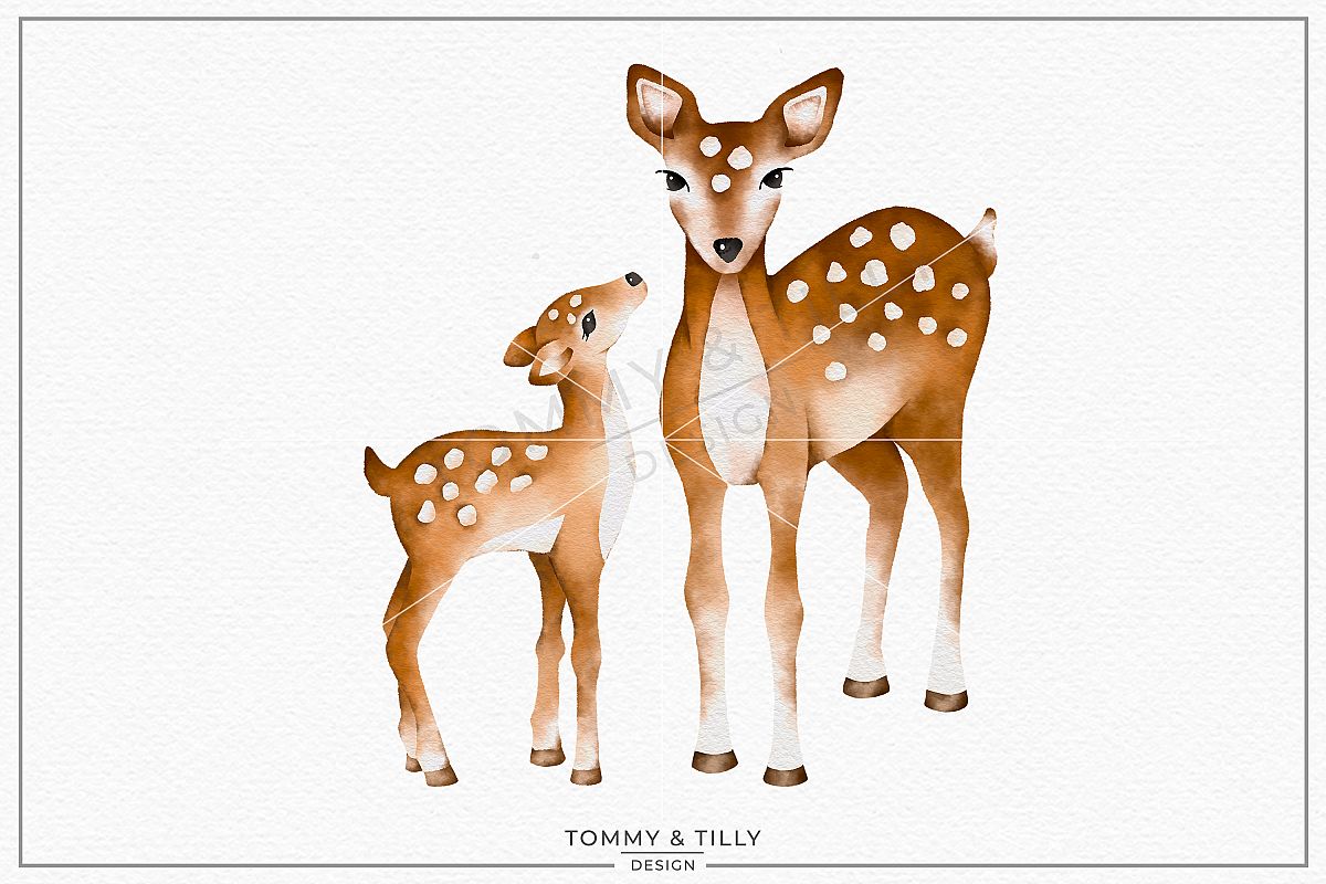 Mummy and Baby Deer No.3.