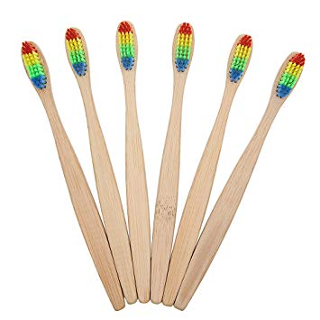 Panda Friendly Rainbow Bristle Natural Bamboo Toothbrush (1.