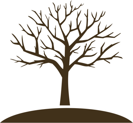 Bare Tree Clipart Images.