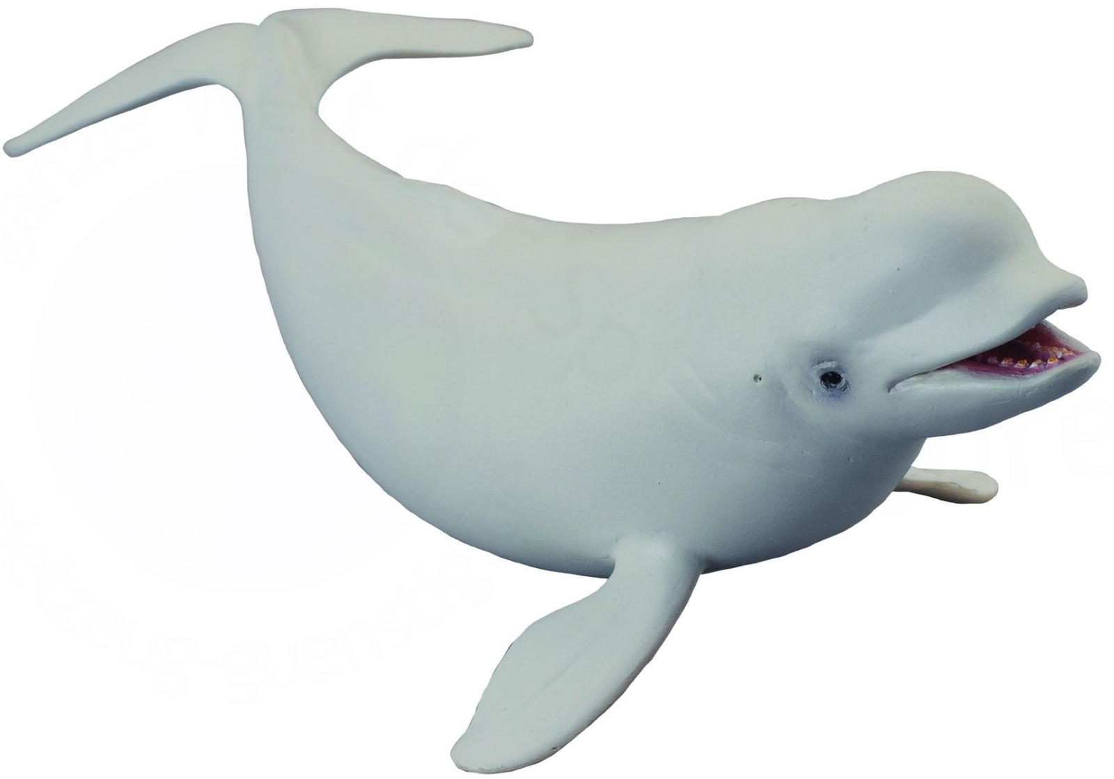 Beluga whale clipart.