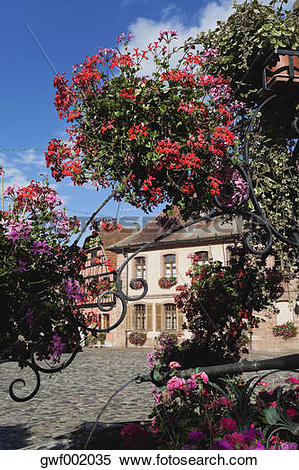 Stock Image of France, View of fountain with flowers at Bergheim.