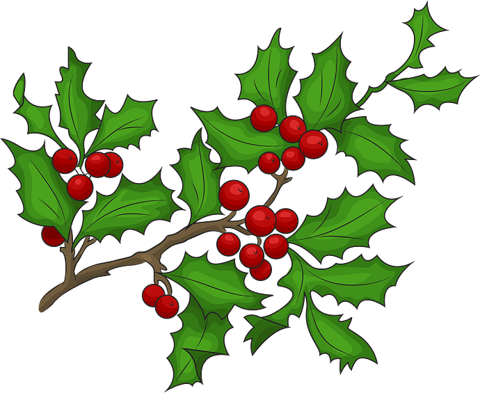 Holly branch with berries clipart. Free download..