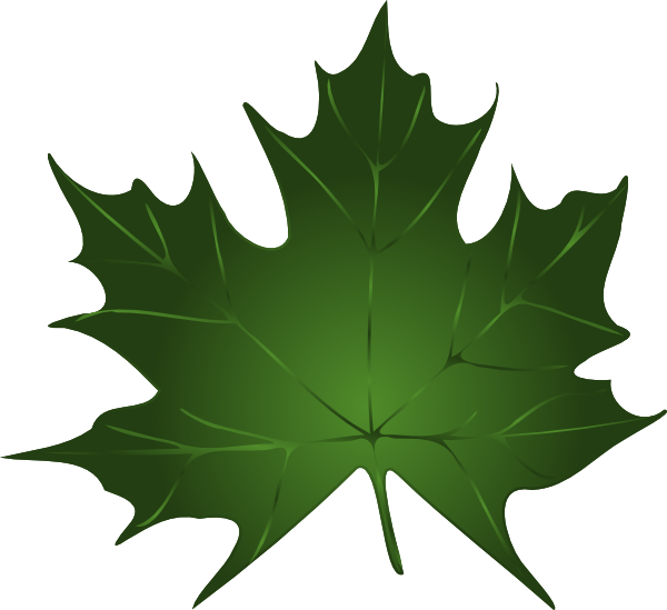 Pumpkin Leaves Clipart.