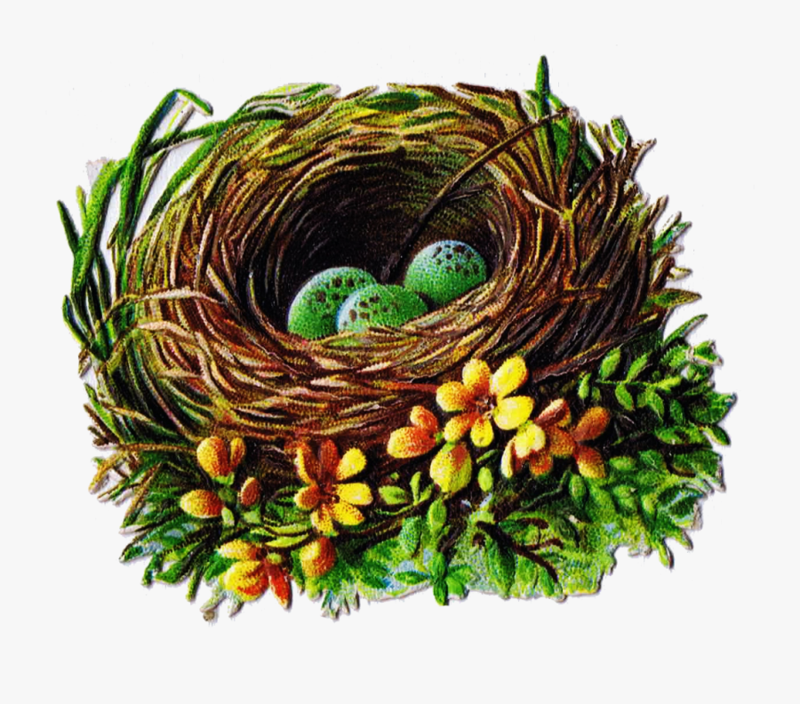 Bird Nest And Egg Graphics 5.