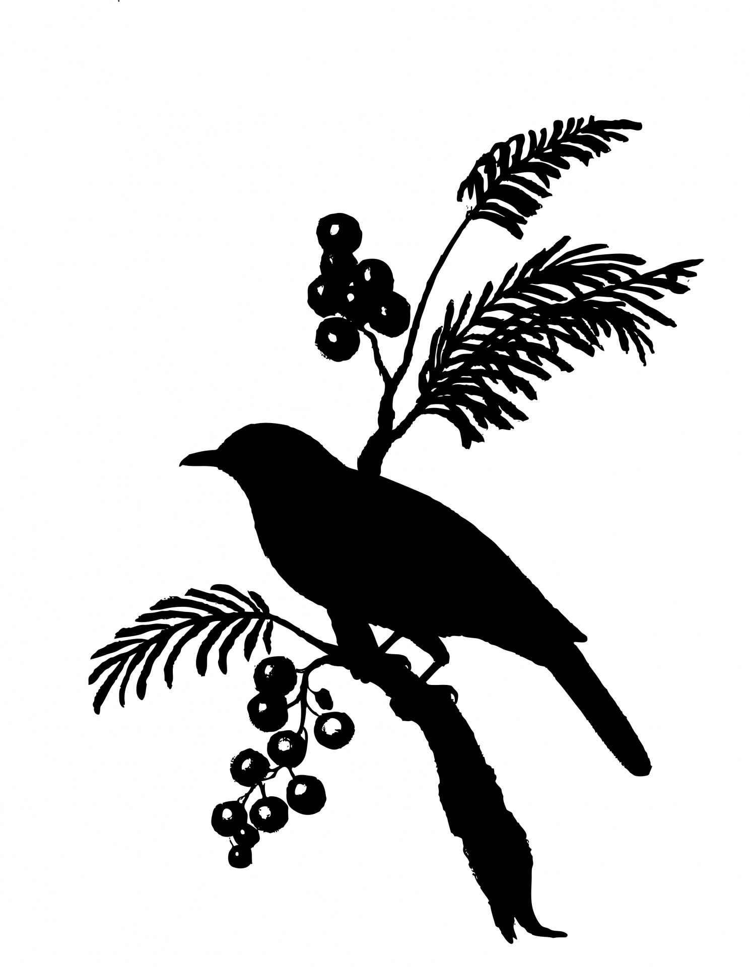 Bird,silhouette,clipart,clip art,black.