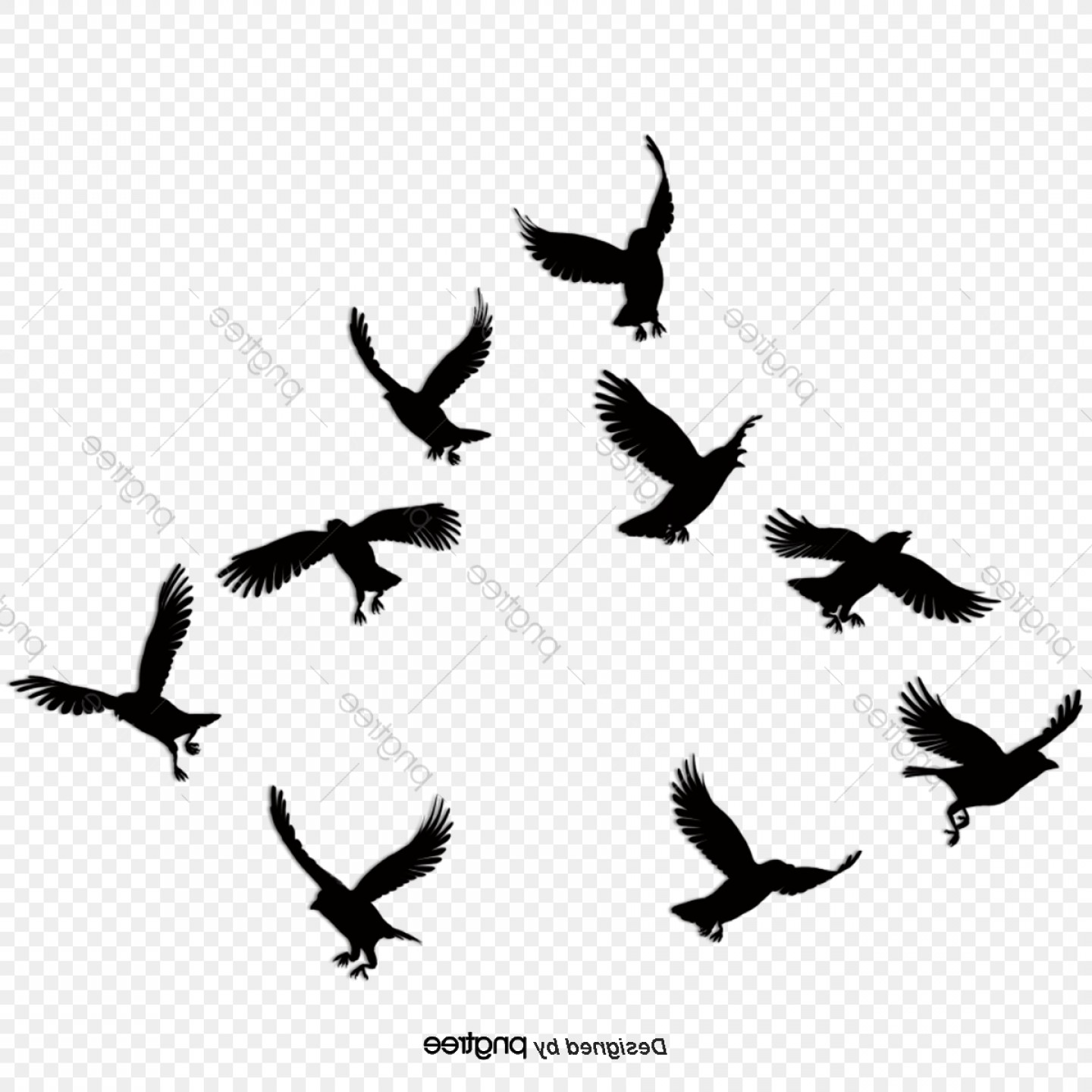 Black Vector Birds Simple Birds Black Birds Silhouette.