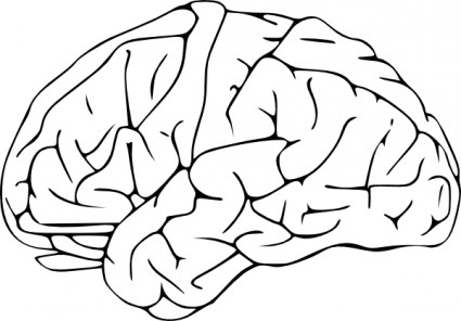 Free Brain Clipart Black And White, Download Free Clip Art.