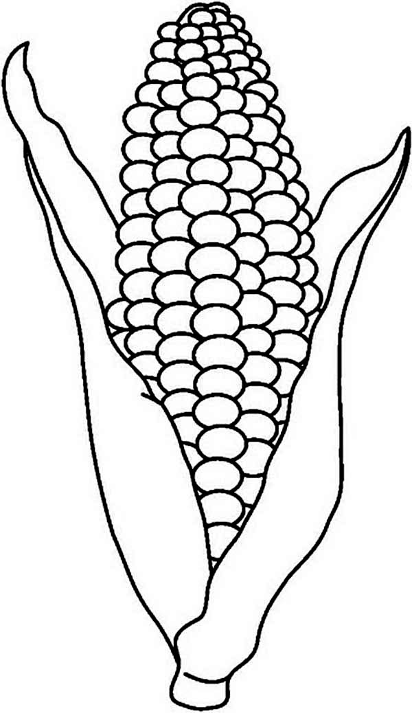 Free Corn Black And White Clipart, Download Free Clip Art.