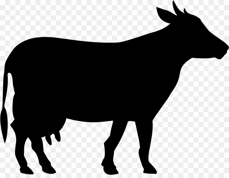 Cow Silhouette PNG Welsh Black Cattle Holstein Friesian Cattle.