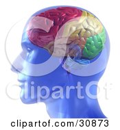 Clipart 3d Glowing Blue Brain.