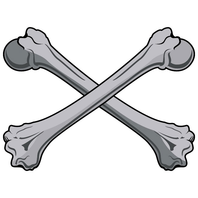 Bones Clip Art Free Vector.