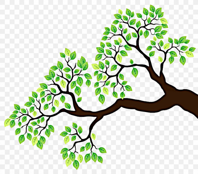 Branch Tree Drawing Clip Art, PNG, 950x835px, Branch, Art.