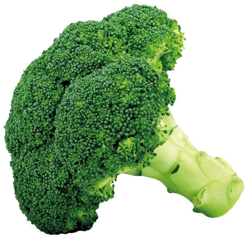 Sad clipart broccoli, Sad broccoli Transparent FREE for.