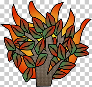 Floral design Cut flowers Leaf, burning bush PNG clipart.