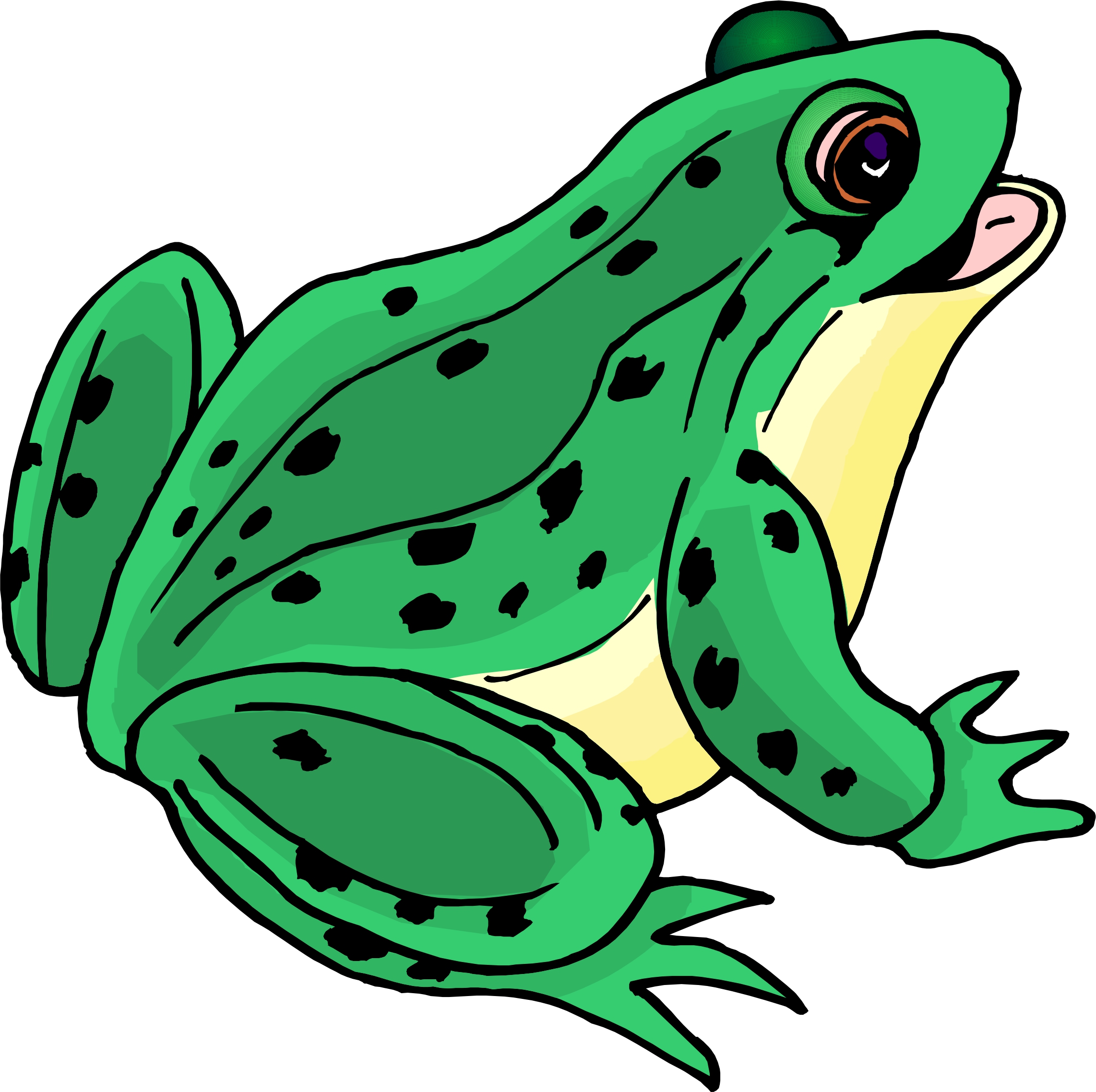 Back To Cartoon From Frogs clipart free image.