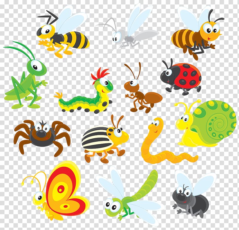 Insect Cartoon , Insect transparent background PNG clipart.