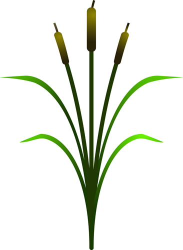 Cattail Clip Art.