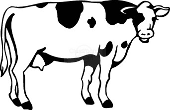 Cow free angus clip art angus merchandise cattle clip.