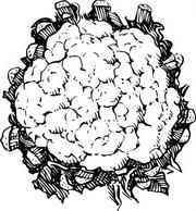 Cauliflower clipart black and white 2 » Clipart Station.