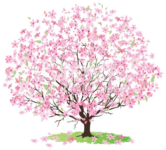 Cherry Tree Clip Art.