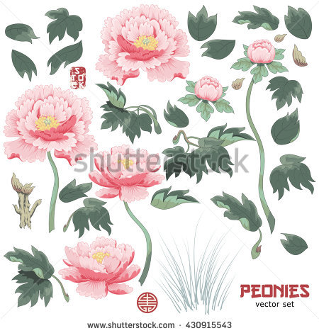 Chinese Peony Stock Photos, Royalty.