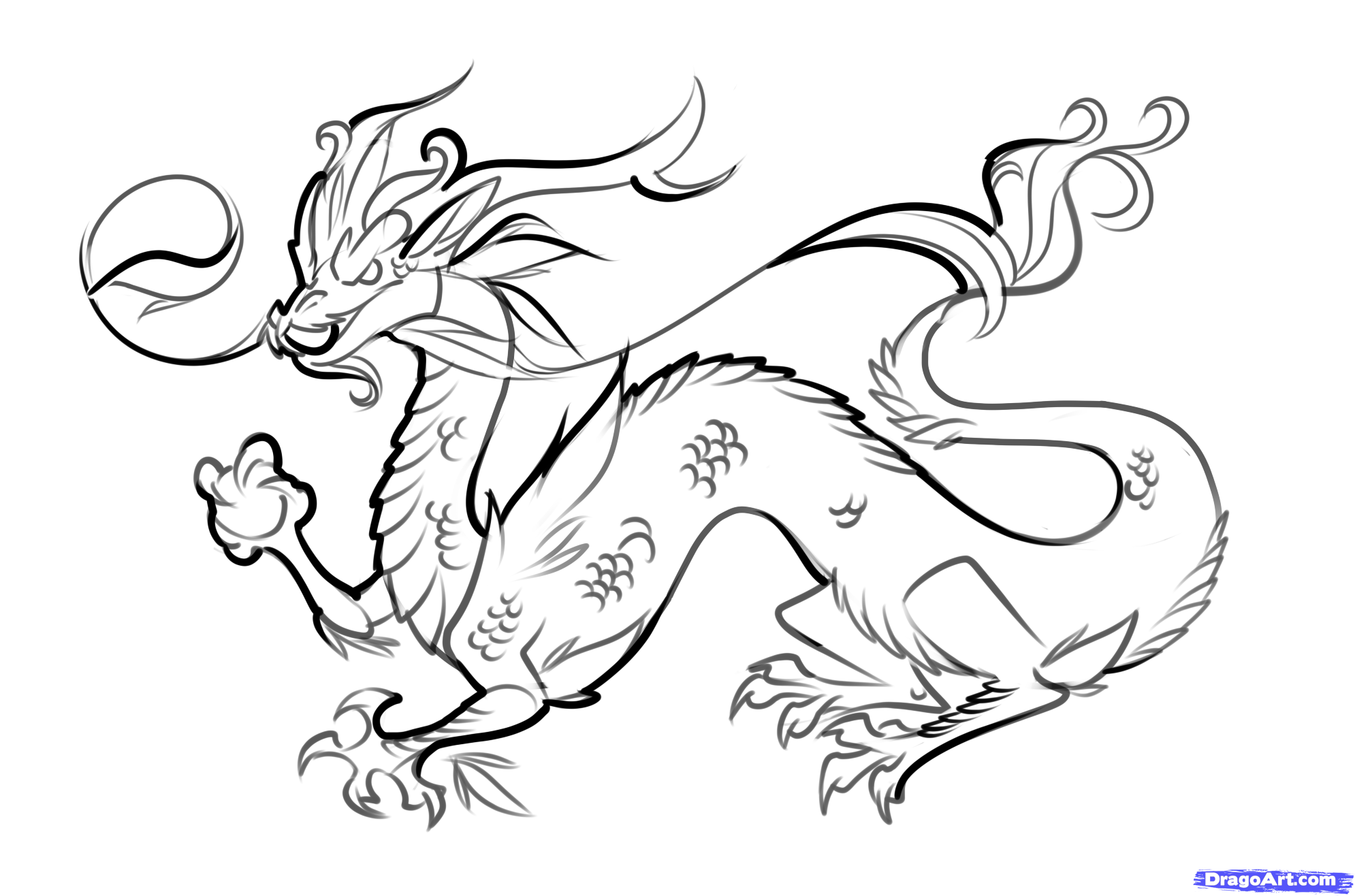 Chinese Dragon Drawing.