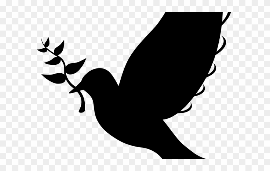 Peace Dove Clipart Twig.