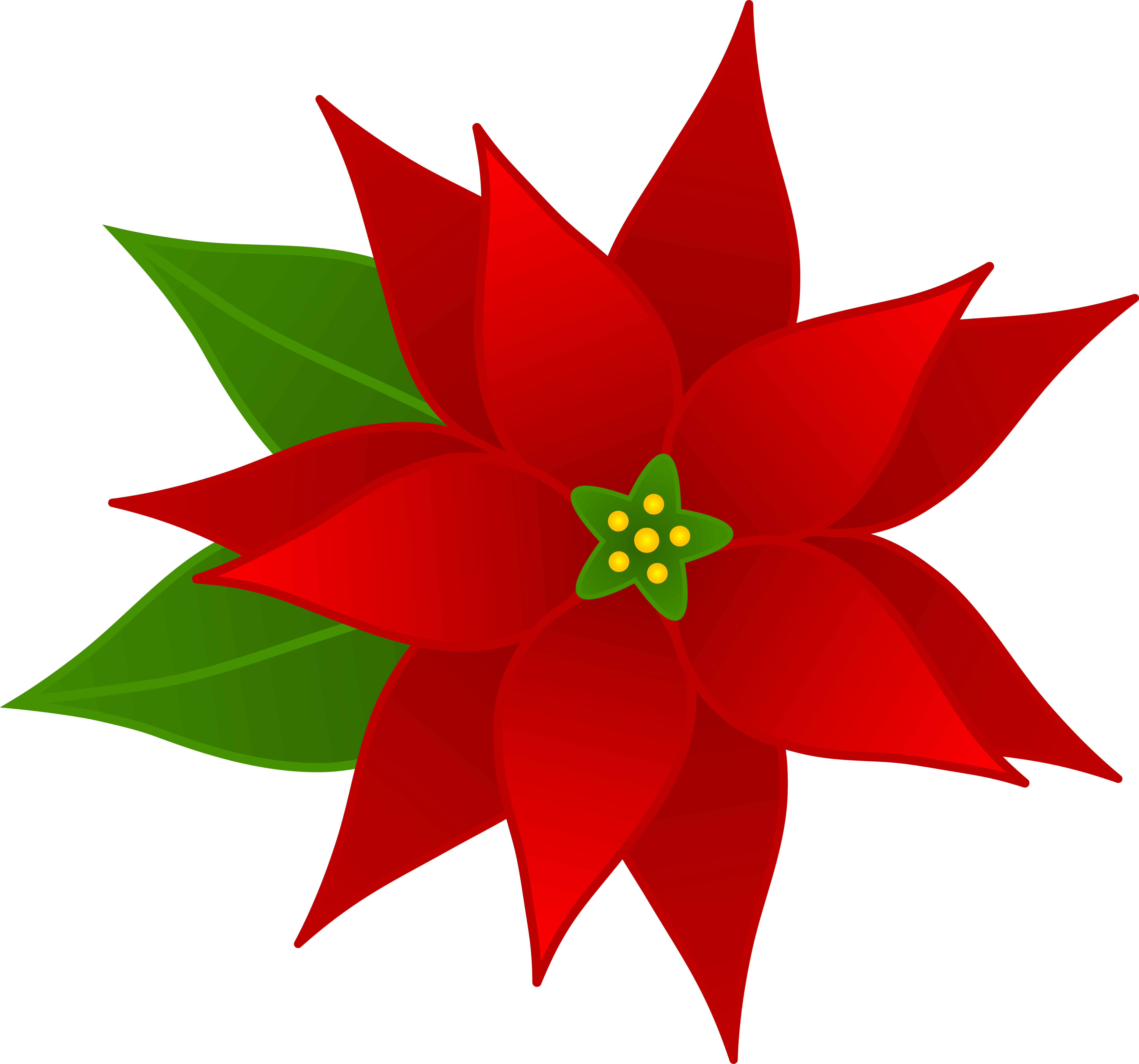 912 Poinsettia free clipart.