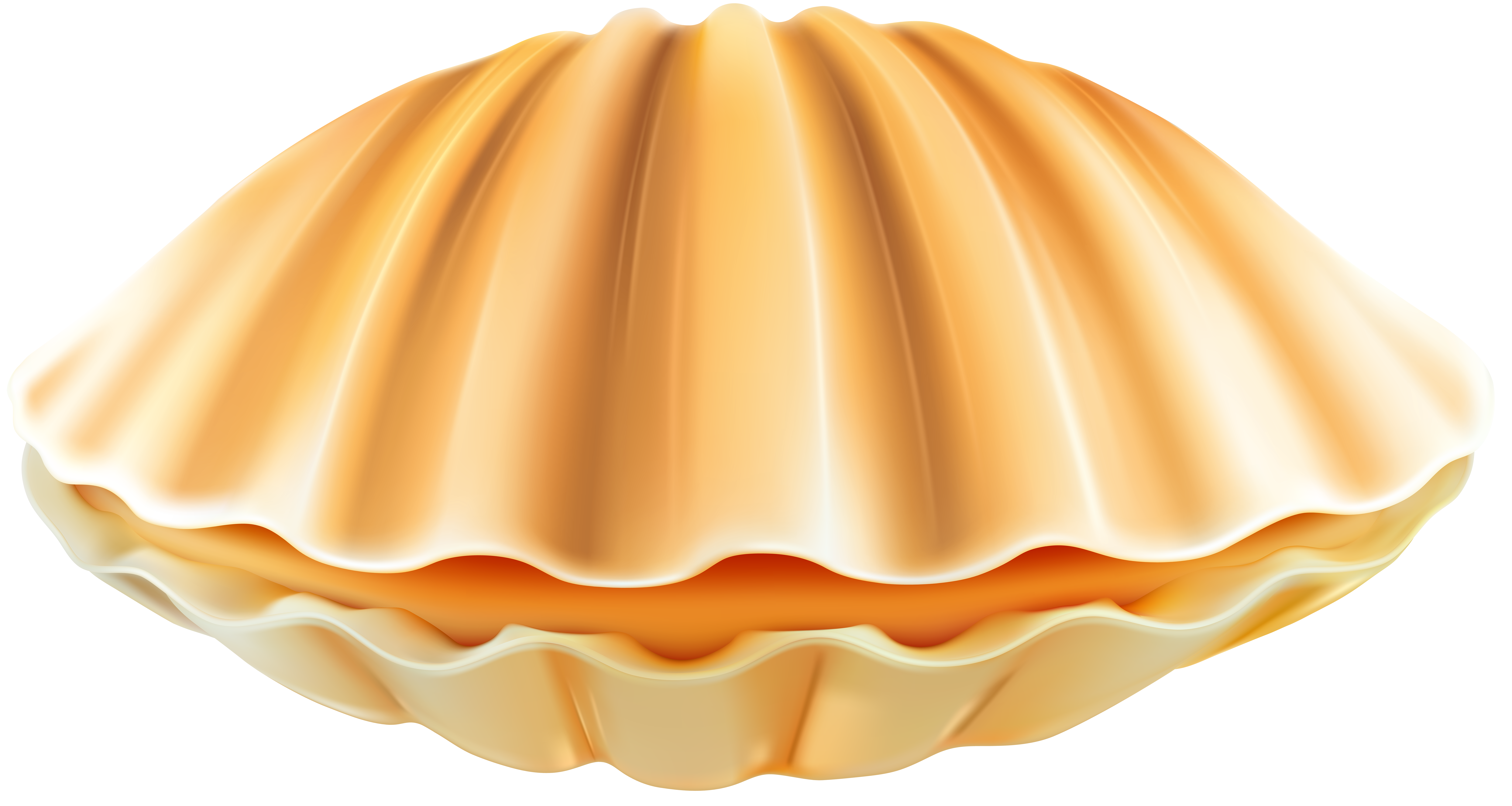 Clam Shell PNG Clip Art Transparent Image.