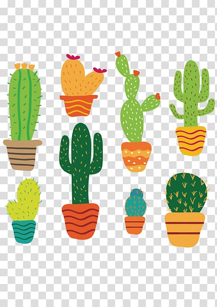 Cactus illustrations, Cactaceae Succulent plant , Cartoon.