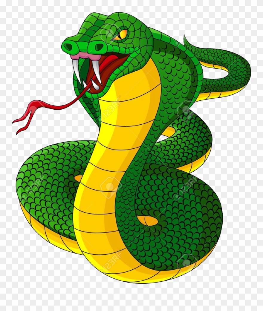 Cobra Snakes Clipart.