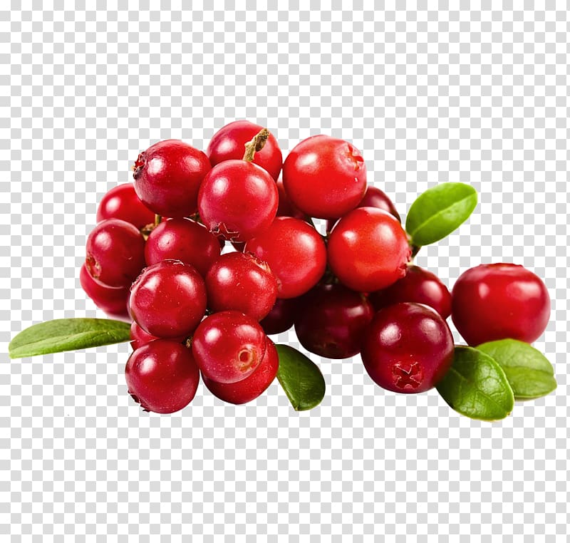 Bunch of cherries, Cranberry juice Fruit, Cherry material.