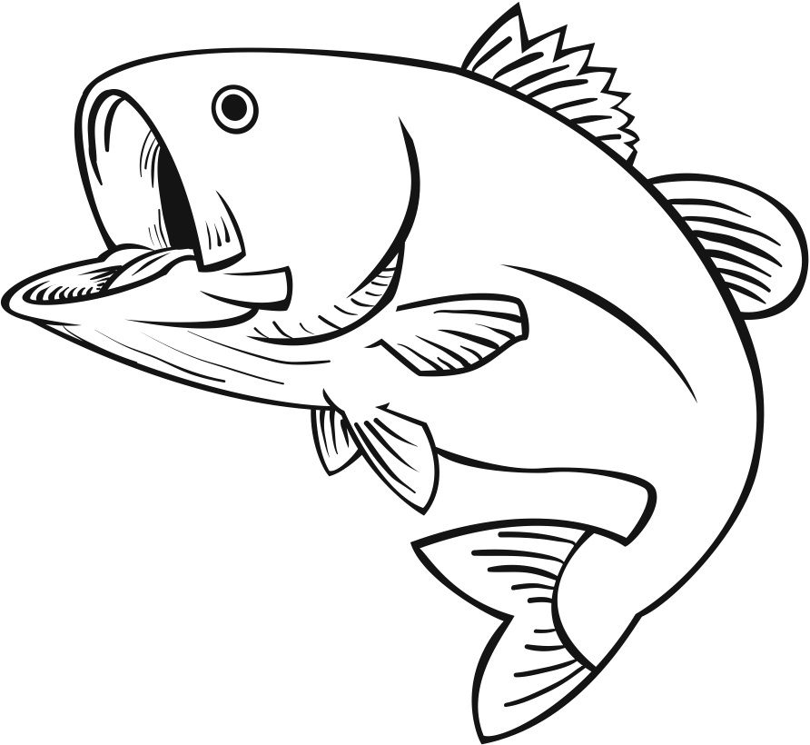 Free Crappie Fish Silhouette, Download Free Clip Art, Free.