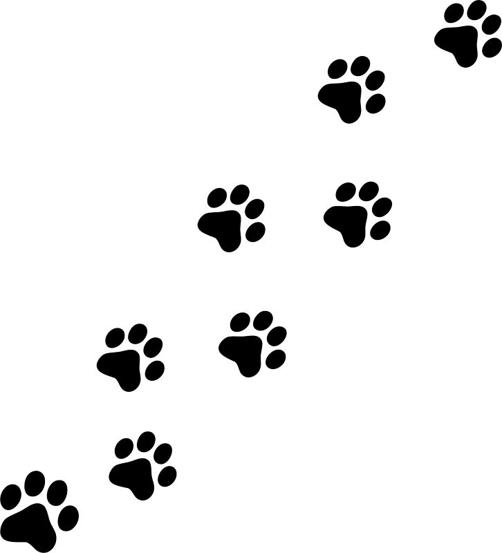 Download Free png dog print clipart dog paw pri.