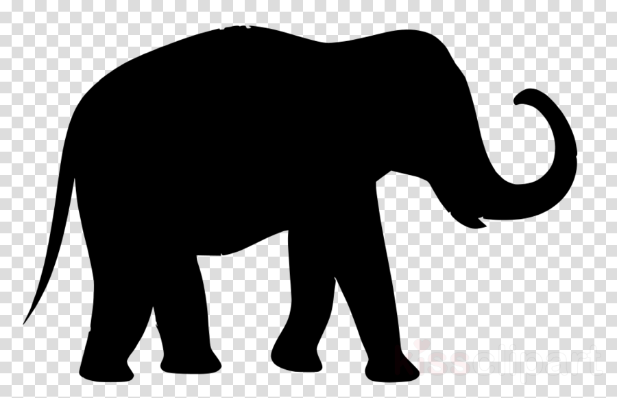 Indian elephant clipart.