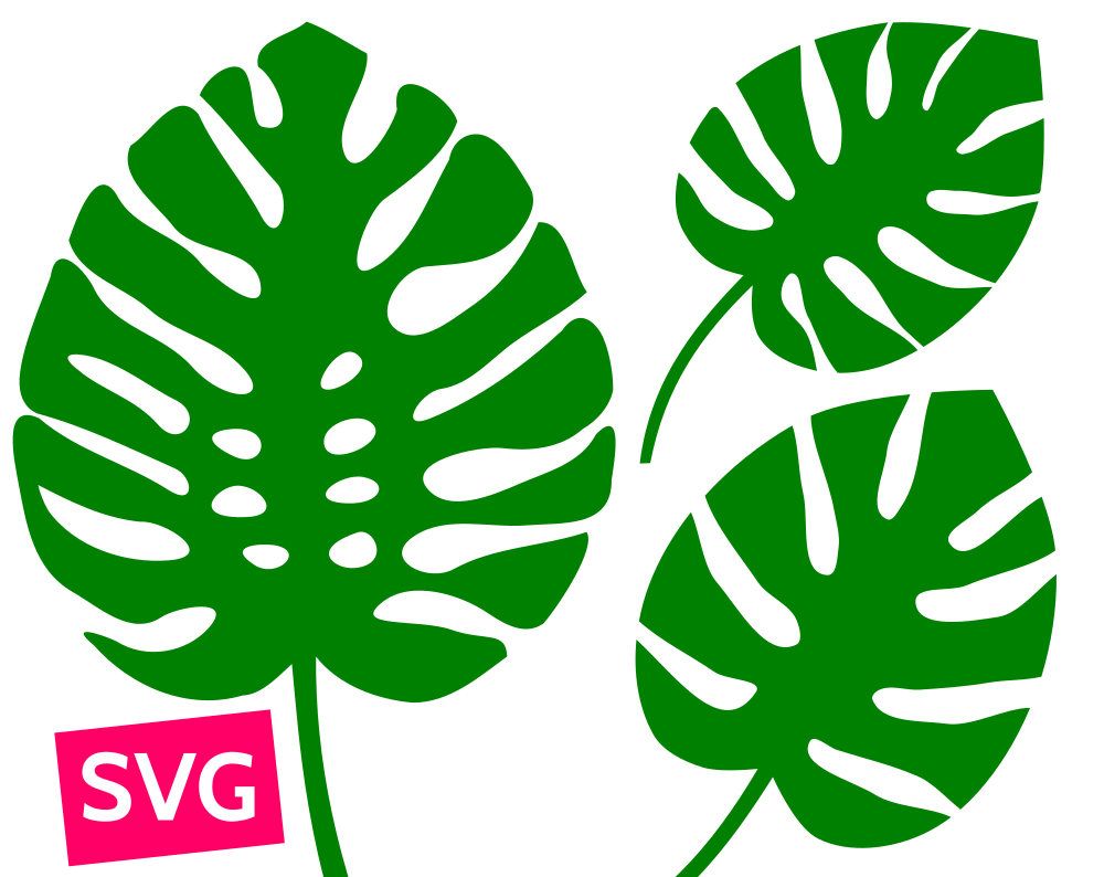 Cuttable and printable Monstera leaf SVG file. PDF clipart.